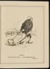 Pen and Pencil Sketches on the Game of Golf - 2