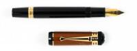 Friedrich Schiller Limited Edition Fountain Pen