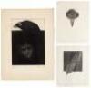 Three etchings by Alan James Robinson