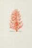Thirteen Poems - 2