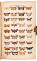 Index Entomologicus; Or, A Complete Illustrated Catalogue Consisting of 1944 Figures of the Lepidopterous Insects of Great Britain.