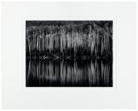 Quiet Light - deluxe edition with original print: Aspen, Reflections, Near Snowmass, Colorado