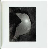 Paul Caponigro: Masterworks from Forty Years