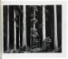 Images, 1923-1974 - 5