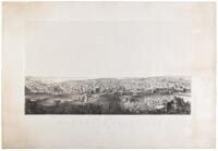 View of that portion of the City of San Francisco seen from the Residence of N. Larco, Esqre. Green Street, Telegraph Hill, looking south. 1859