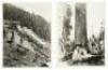 Collection of photographs of the Engels Copper Mine in Plumas County, California, & surrounding area - 3