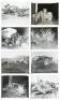 Approx. 65 original photographs of automobile accidents from the 1940s and 1950s - 4