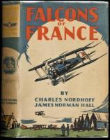 Falcons of France: A Tale of Youth and the Air