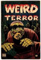 WEIRD TERROR No. 5