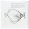 The Flounder - 4