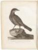 A Voyage Round the World; But More Particularly to the North-West Coast of America performed in 1785, 1786, 1787, and 1788 in The King George and Queen Charlotte, Captains Portlock and Dixon - 5