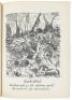 Peleliu Landing - 5