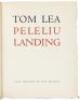 Peleliu Landing - 9