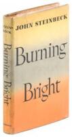 Burning Bright: A Play in Story Form