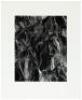 Five photographs by Harrison Branch - 7