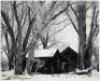 Abandoned Farm House, Round Valley - 2