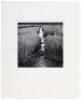 [Wetlands landscape]