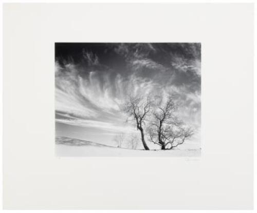 Trees and Clouds, Kelso Dunes