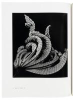 Brett Weston: A Personal Selection