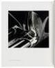 Brett Weston: A Personal Selection - 4