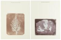 12 Unpublished Calotypes: William Henry Fox Talbot Centenary, from the Lacock Abbey Collection