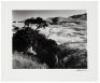 The Wilder Shore - 3