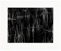Brett Weston: Photographs from Five Decades - limited edition with Reeds, Oregon original print