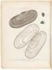 A Voyage Round the World; But More Particularly to the North-West Coast of America performed in 1785, 1786, 1787, and 1788 in The King George and Queen Charlotte, Captains Portlock and Dixon - 8