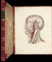 Two medical plate books