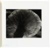 Edward Weston: Fifty Years