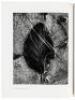 Brett Weston: A Personal Selection - 3