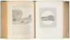 The Medical and Surgical History of the War of the Rebellion (1861-1865) - 10