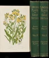 Flowering Plants of Great Britain