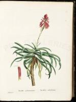 Plantarum Succulentarum Historia. Histoire des Plantes Grasses