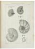 Geological Survey of California. Palaeontology. - 2