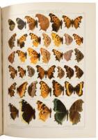 The Macrolepidopteria of the World: The American Rhopaloceria