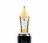Nicolas Copernicus Limited Edition 4810 Fountain Pen - 2