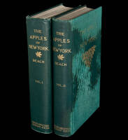 The Apples of New York