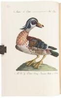 Fine Bird Books, 1700-1900