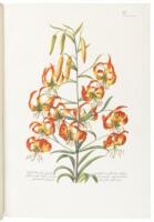 Great Flower Books 1700-1900: A Bibliographical Record of Two Centuries of Finely-Illustrated Flower Books