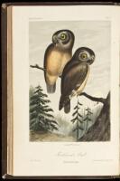 Illustrations of the Birds of California, Texas, Oregon, British and Russian America. Intended to contain Descriptions and Figures of all North American Birds...