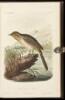 Illustrations of the Birds of California, Texas, Oregon, British and Russian America. Intended to contain Descriptions and Figures of all North American Birds... - 3
