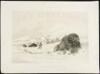 No. 17. Dying Buffalo Bull, in Snow Drift