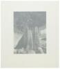 Juniper at Lake Tenaya 1937 - 5