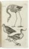 The Ornithology of Francis Willughby of Middleton in the county of Warwick Esq; fellow of the Royal Society. In three books. Wherein all the birds hitherto known, being reduced into a method sutable to their natures, are accurately described. The descript - 4