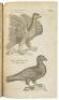 The Ornithology of Francis Willughby of Middleton in the county of Warwick Esq; fellow of the Royal Society. In three books. Wherein all the birds hitherto known, being reduced into a method sutable to their natures, are accurately described. The descript - 5