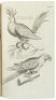 The Ornithology of Francis Willughby of Middleton in the county of Warwick Esq; fellow of the Royal Society. In three books. Wherein all the birds hitherto known, being reduced into a method sutable to their natures, are accurately described. The descript - 9