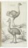 The Ornithology of Francis Willughby of Middleton in the county of Warwick Esq; fellow of the Royal Society. In three books. Wherein all the birds hitherto known, being reduced into a method sutable to their natures, are accurately described. The descript - 10
