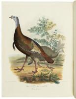 American Ornithology; or, The Natural History of Birds inhabiting the United States, not given by Wilson