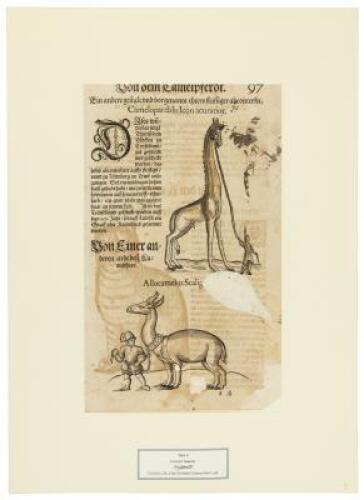 Tierb&uuml;cher aus f&uuml;nf Jahrhunderten, Sechzig originalgraphische Tafeln aus deutchen, franz&ouml;sischen, niederl&auml;ndischen, englischen, italienischen und schweizerischen Prachtwerken 1491-1966